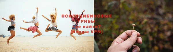 сатива Краснослободск