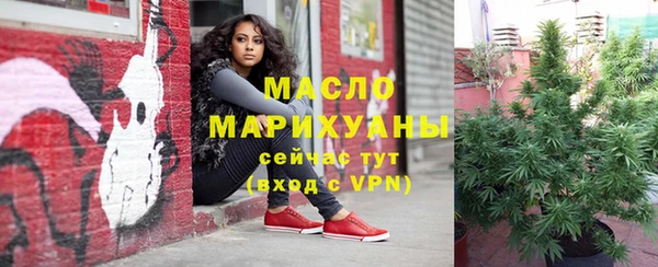индика Куйбышев