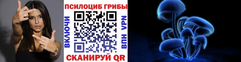 Галлюциногенные грибы мухоморы  Купить закладки  Моздок 